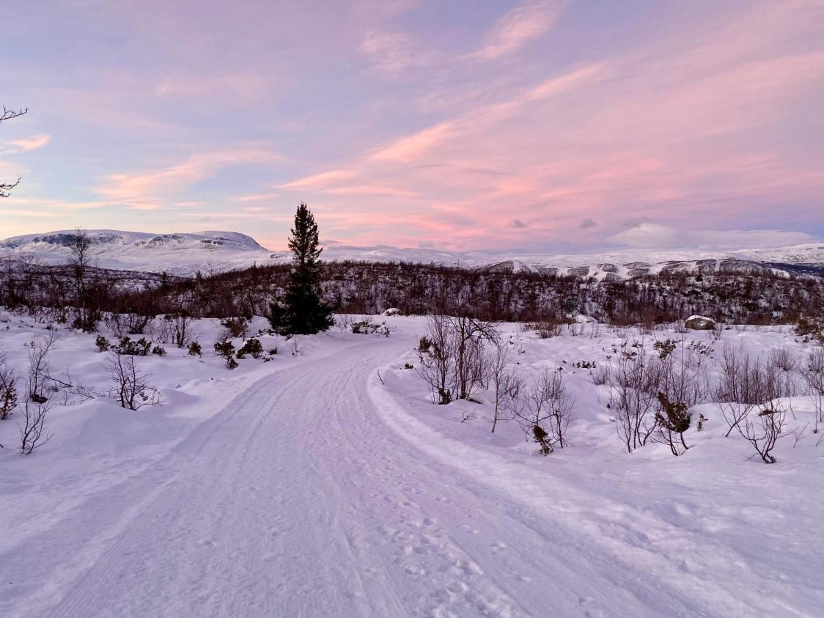 Hakkesetstolen Hytter Geilo Exterior foto